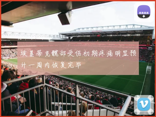 埃基蒂克髋部受伤初期疼痛明显预计一周内恢复完毕